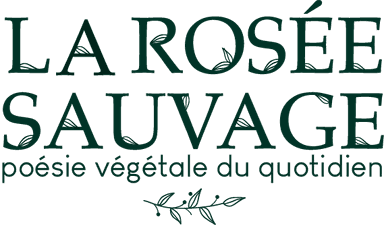  ateliers l micro-paysagisme l scénographie végétale l direction artistique